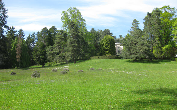Der Park der Villa Eupalinos in Pully ist heute mangels Unterhalt stark verwildert.