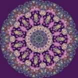 Kaleidoskop - Petra Harris