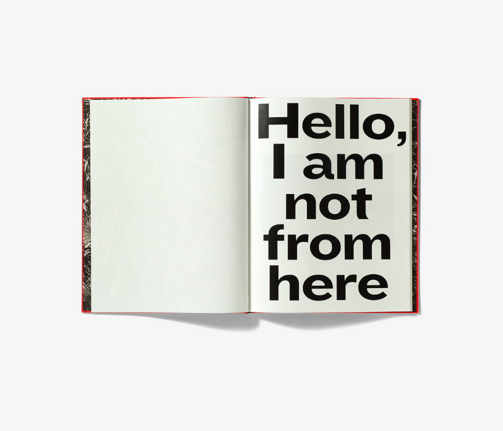 „Hello, I am not from here“, Peter Hauser (design Enea Toldo, Russo), Foto: Simon Schmid © BAK