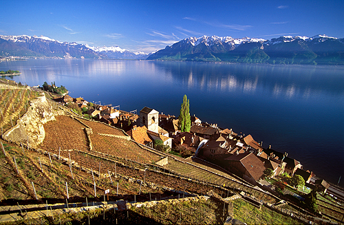 Das Weingebiet Lavaux