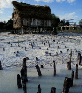 Original Pfähle im Lac de Chalain, rive occidentale (Frankreich) mit der Rekonstruktion von einer jungsteinzeitlichen Behausung im Hintergrund © Centre de Recherche Archéologique de la Vallée de l’Ain