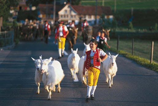 Archiv Appenzellerland Tourismus